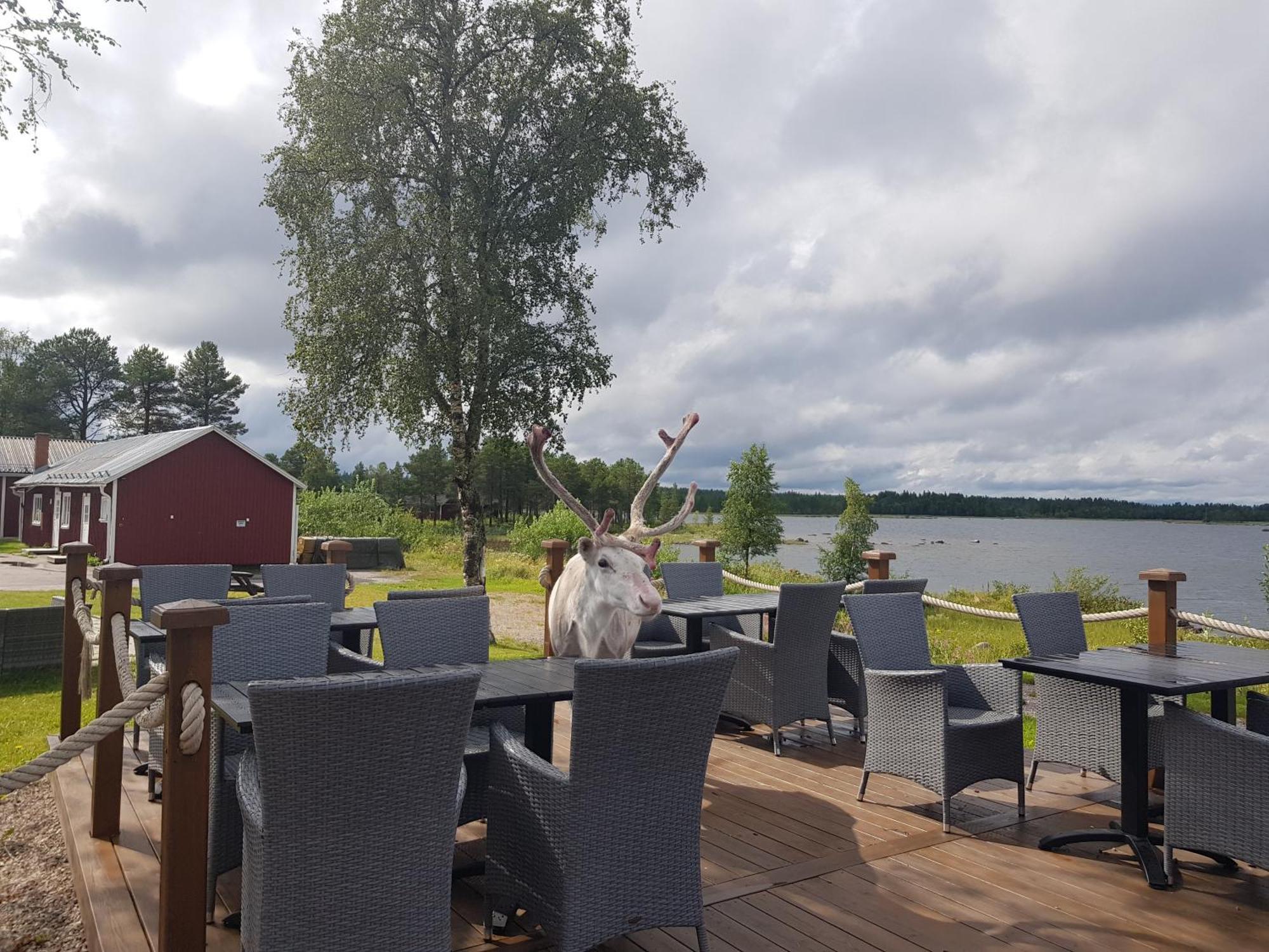 Hotel Kraja Arjeplog Exterior foto